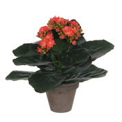 Planta Artificial - Kalanchoe Naranja - MICA